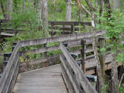Six Mile Creek Conservation Trail