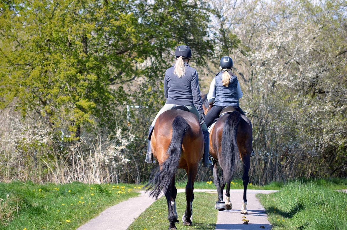 Two women riding horseback on a trail