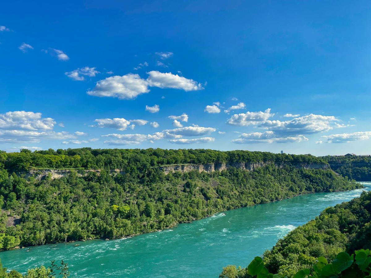 Arial view of the Niagara Glen and Niagara River