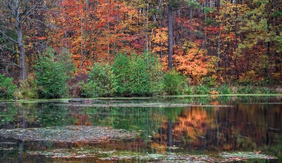 Saint Johns Conservation Area